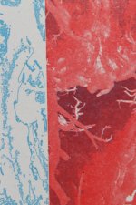 Nicole Polentas closeup of print - image is a closeup of a heart print with 2 sides - one side is blue and one side is red